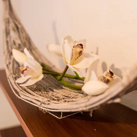 Enri Theater Und Bruderhaus Gasthof 3*