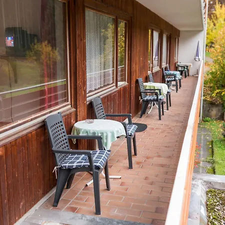 Enri Theater Und Bruderhaus 3* Altensteig