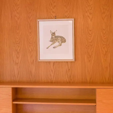 Enri Theater Und Bruderhaus 3* Altensteig