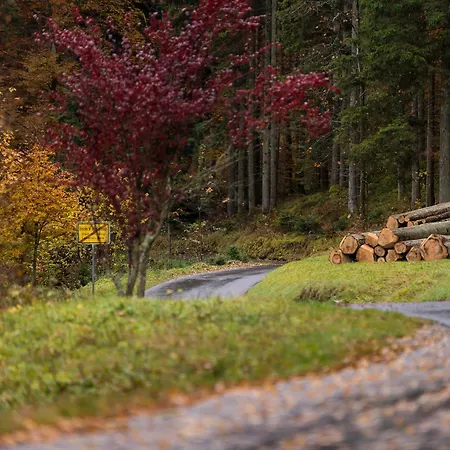 Gasthof Enri Theater Und Bruderhaus