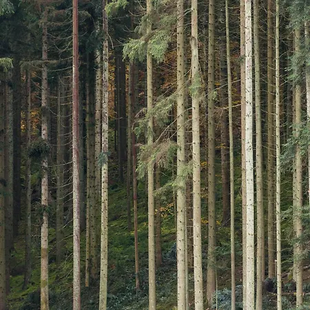 Enri Theater Und Bruderhaus