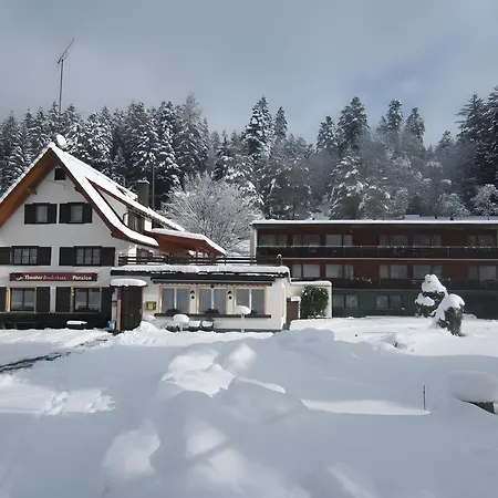 Enri Theater Und Bruderhaus 3* Altensteig